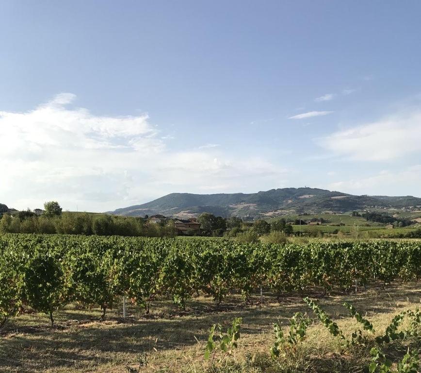 La Boheme, Gite De Charme Quincié-en-Beaujolais Екстериор снимка