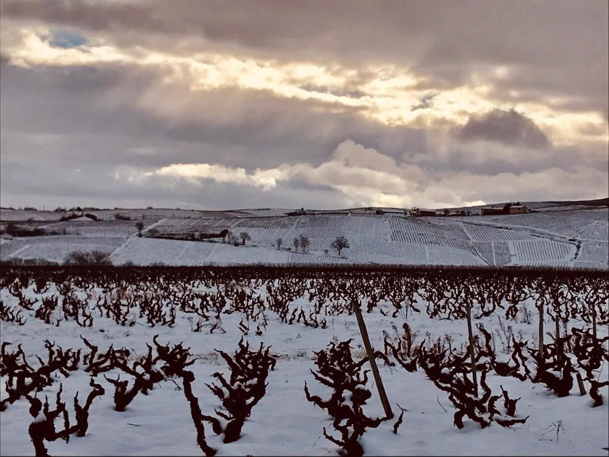La Boheme, Gite De Charme Quincié-en-Beaujolais Екстериор снимка